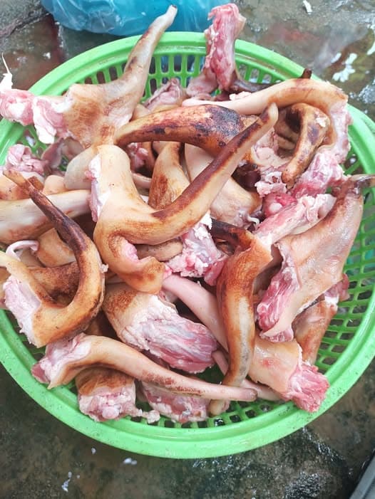 Đuôi dê tươi